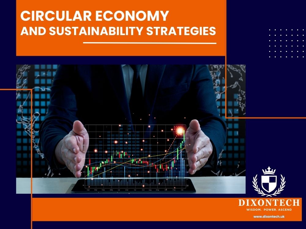 Circular Economy and Sustainability Strategies